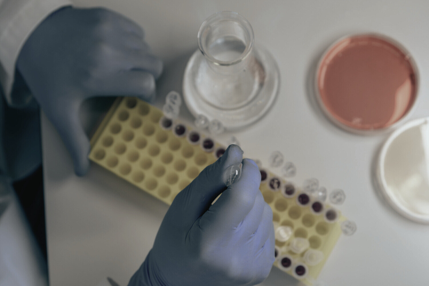 How grit supports open science drug discovery teams